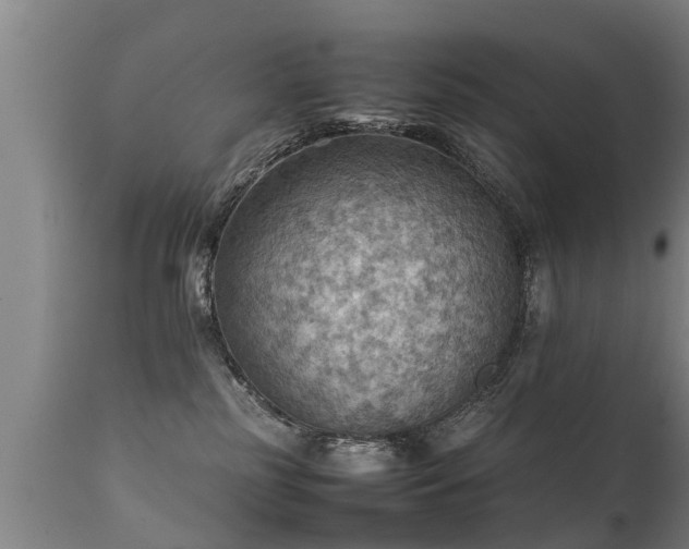 X0000112090185200908111403