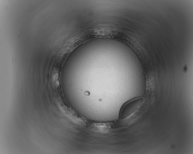 X0000112090187200908111403