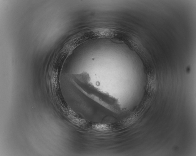 X0000112090189200908111403