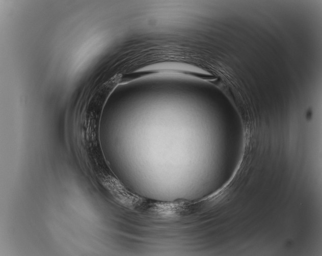 X0000112090190200908111403