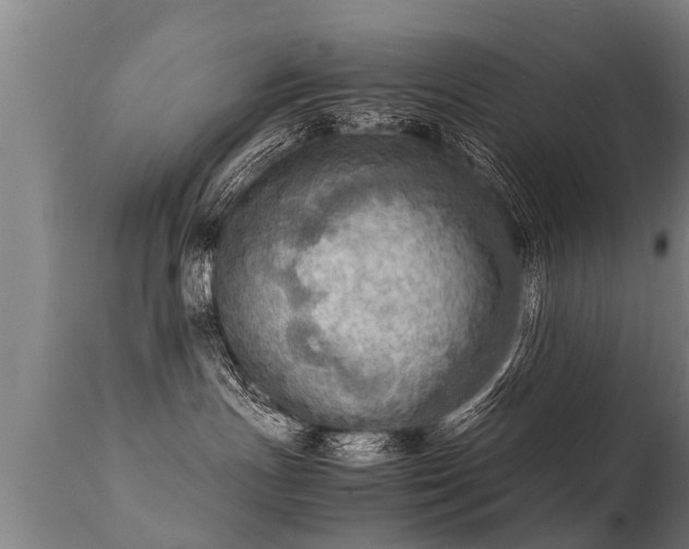 X0000112090191200908111403