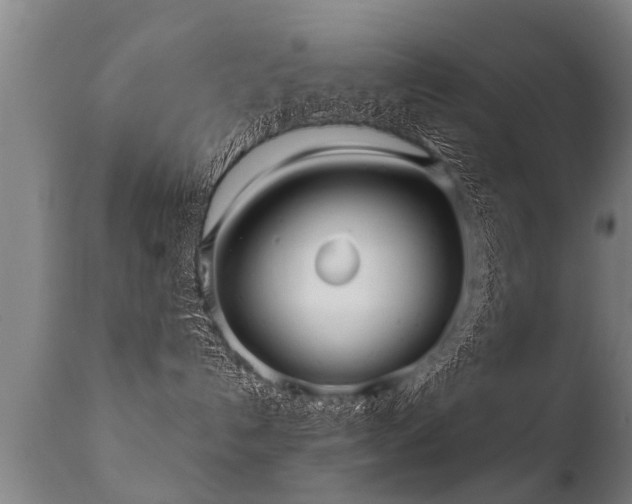 X0000112090192200908111403