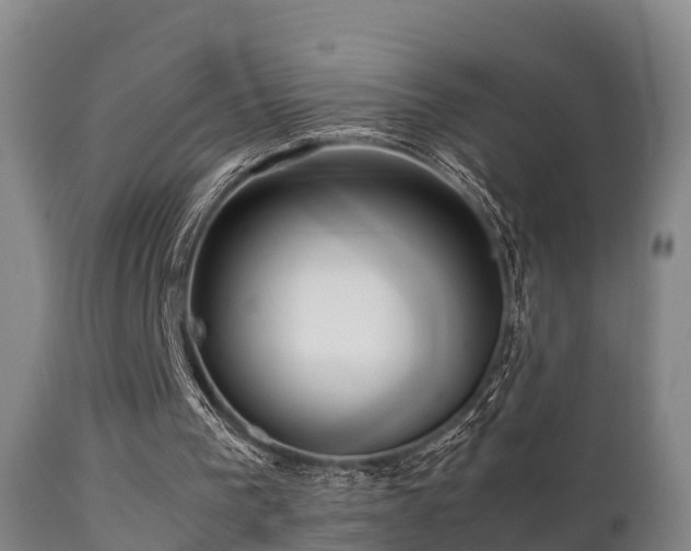 X0000112090193200908111402