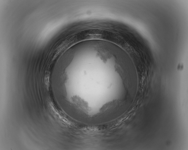 X0000112090194200908111402