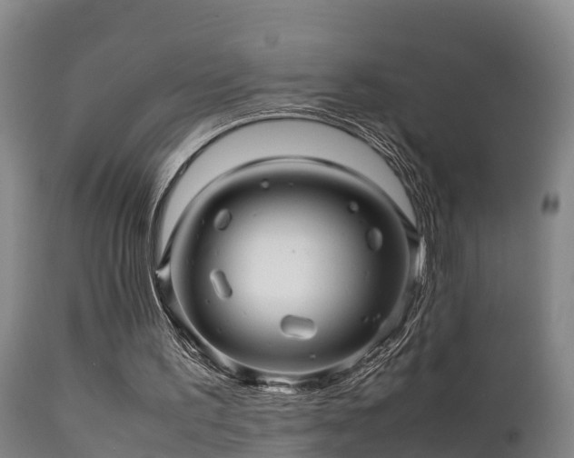 X0000112090195200908111402