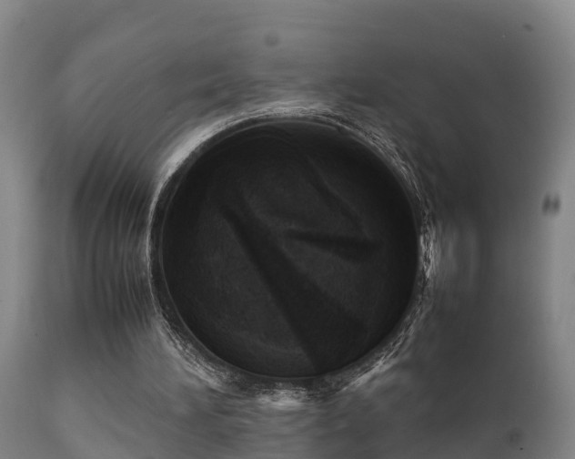 X0000112090196200908111402