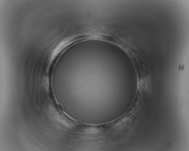 X0000112090198200908111402