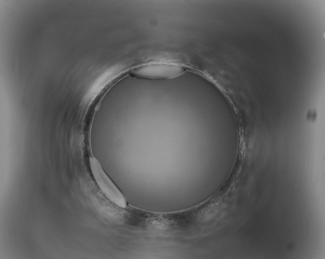 X0000112090199200908111402