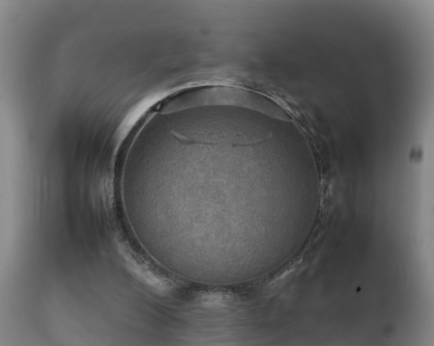 X0000112090200200908111402