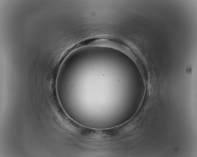 X0000112090201200908111402