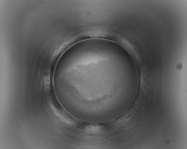 X0000112090202200908111402