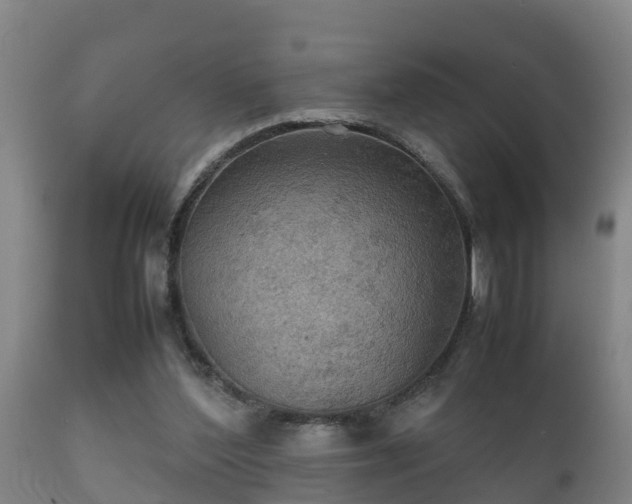 X0000112090204200908111402