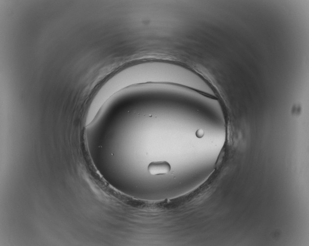 X0000112090205200908111402