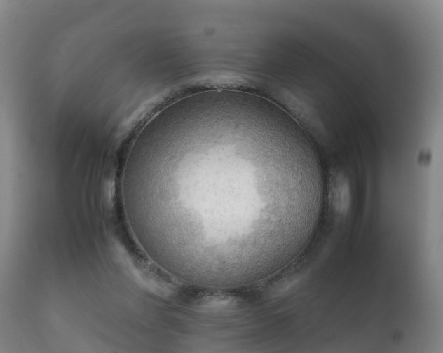 X0000112090206200908111402