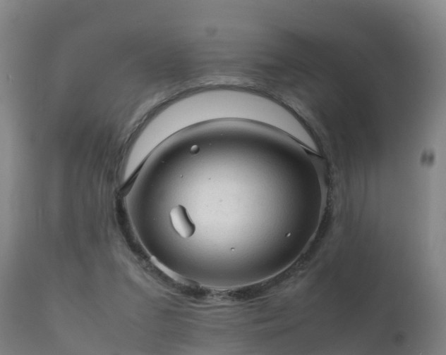 X0000112090207200908111402