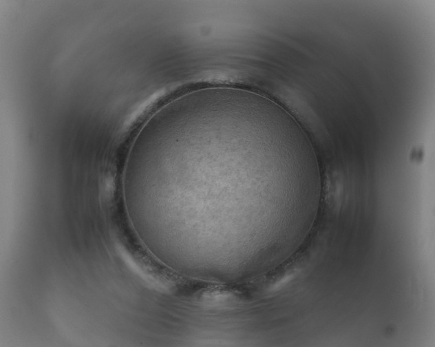 X0000112090208200908111402