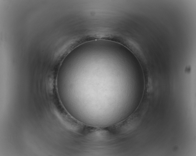 X0000112090210200908111402