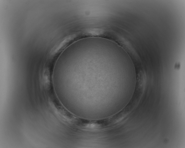 X0000112090212200908111402