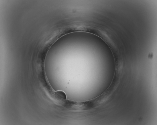 X0000112090213200908111402