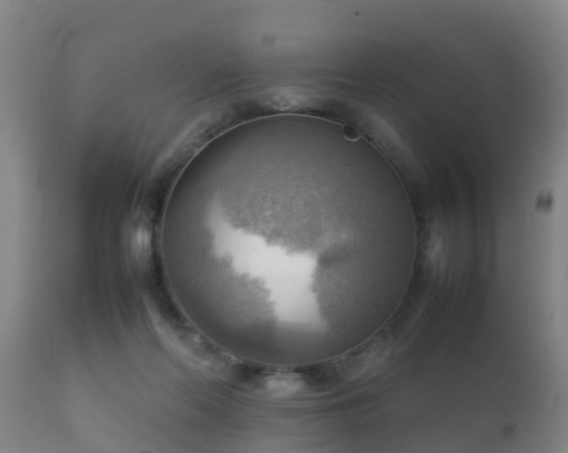 X0000112090214200908111402