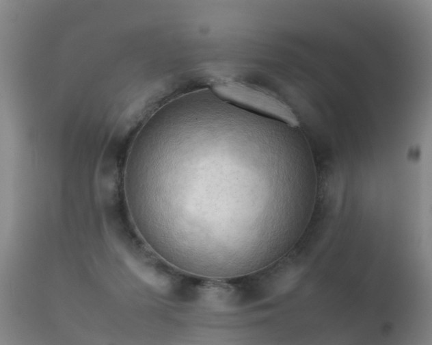 X0000112090215200908111402