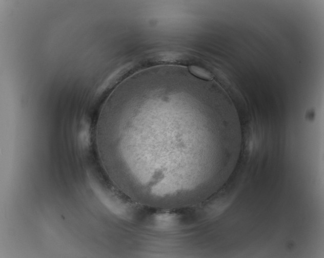 X0000112090216200908111402