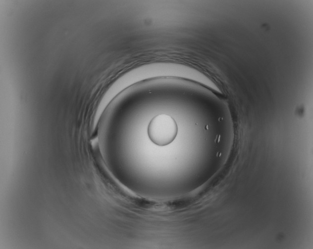 X0000112090217200908111402