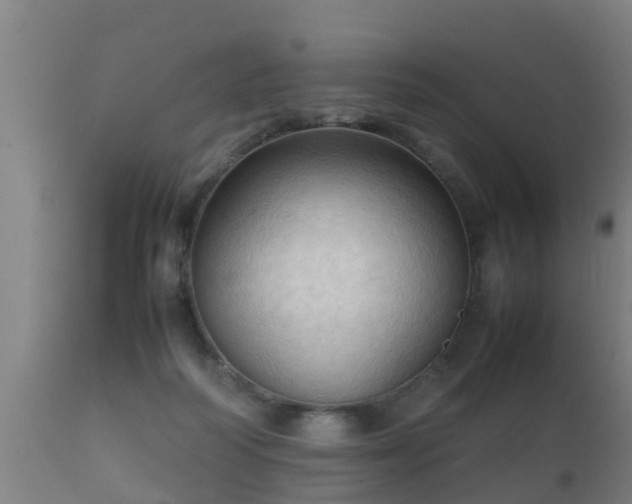 X0000112090218200908111402