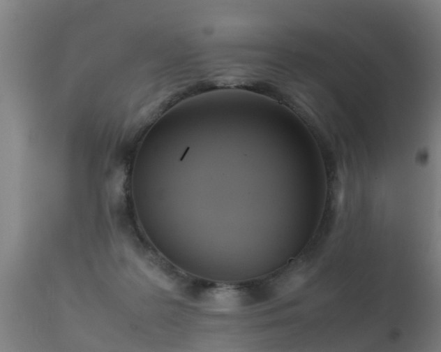 X0000112090219200908111402