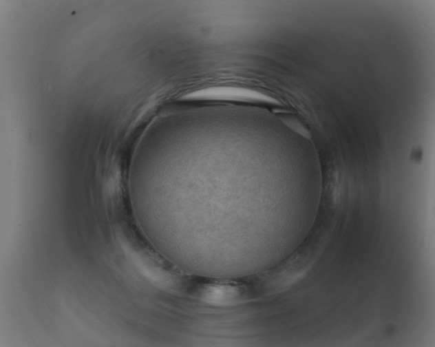 X0000112090220200908111402