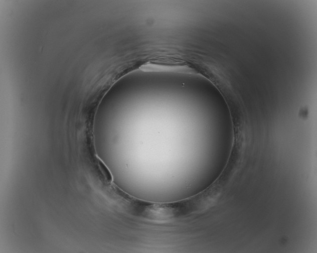 X0000112090221200908111401