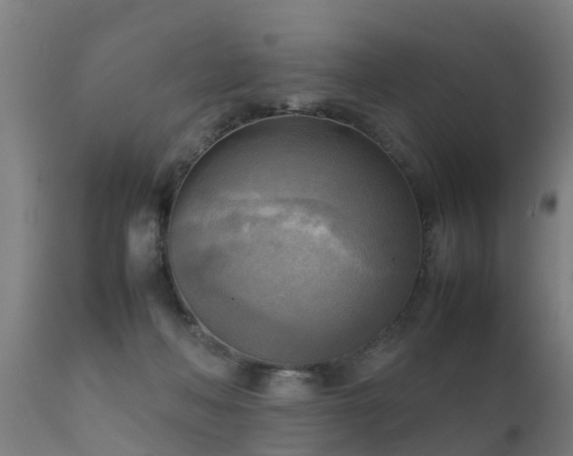 X0000112090222200908111401