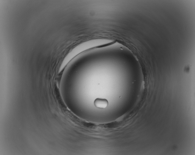 X0000112090223200908111401