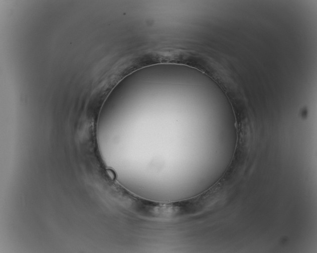 X0000112090225200908111401