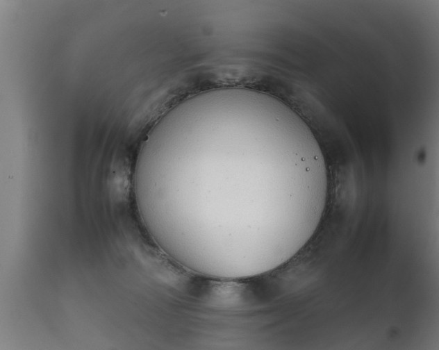 X0000112090226200908111401