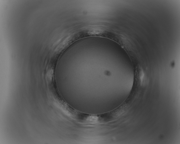 X0000112090227200908111401