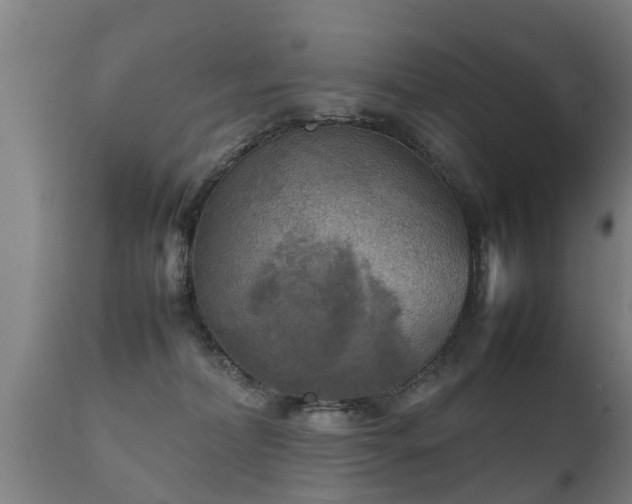 X0000112090228200908111401