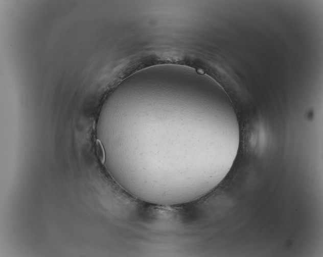 X0000112090229200908111401