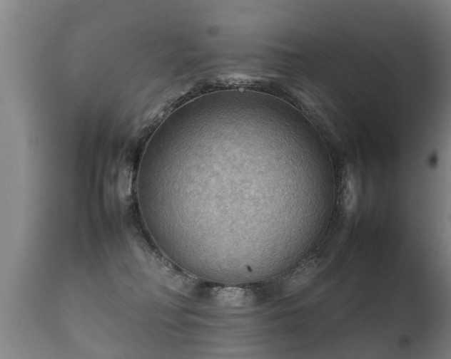 X0000112090230200908111401