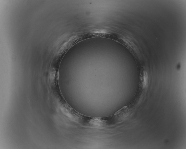 X0000112090231200908111401