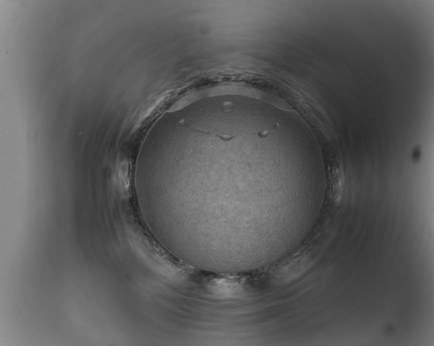 X0000112090232200908111401