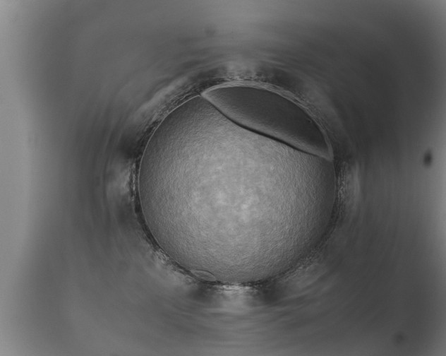 X0000112090233200908111401