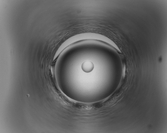 X0000112090235200908111401