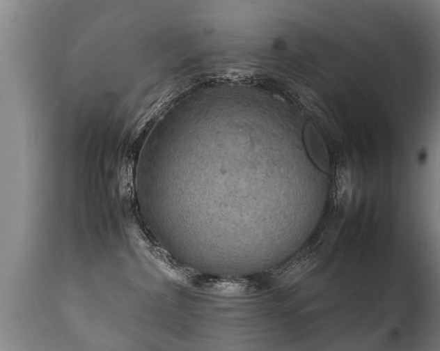 X0000112090236200908111401