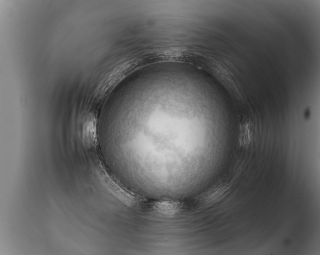 X0000112090238200908111401