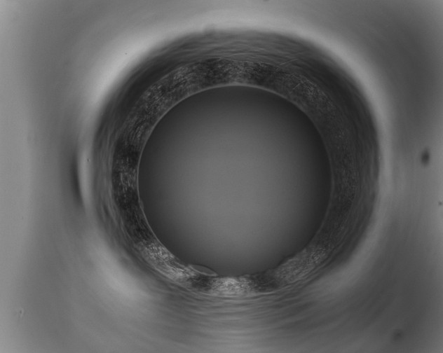 X0000112090239200908111401