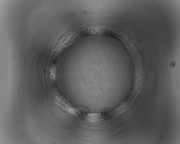 X0000112090240200908111401