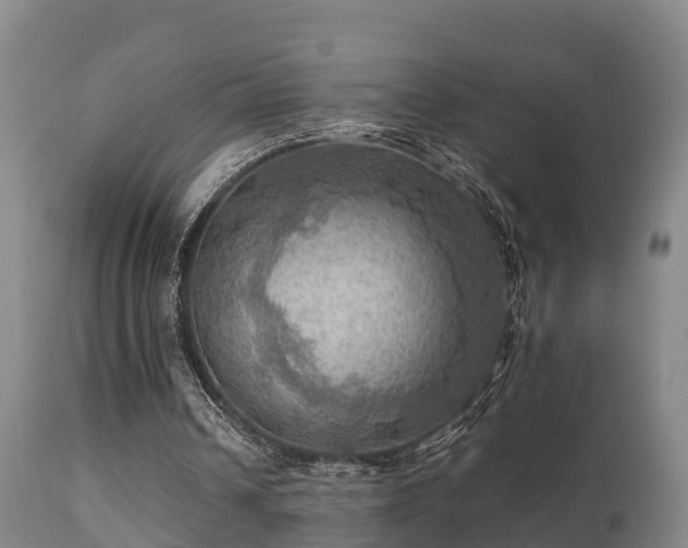 X0000112090242200908111400