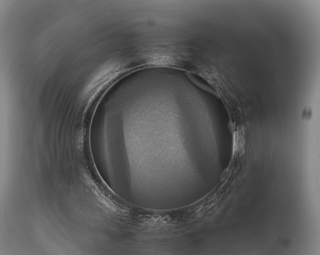 X0000112090243200908111400