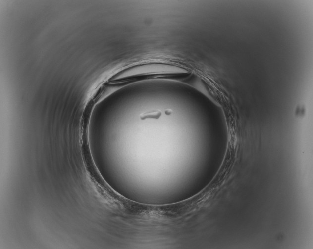 X0000112090244200908111400